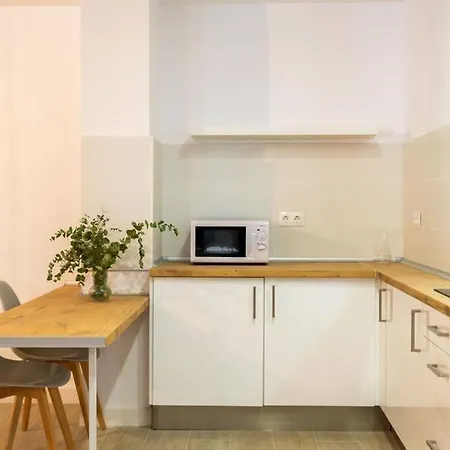 Apartment Ct 227 - Center - Studio Ii